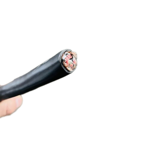 J9����|����վ����