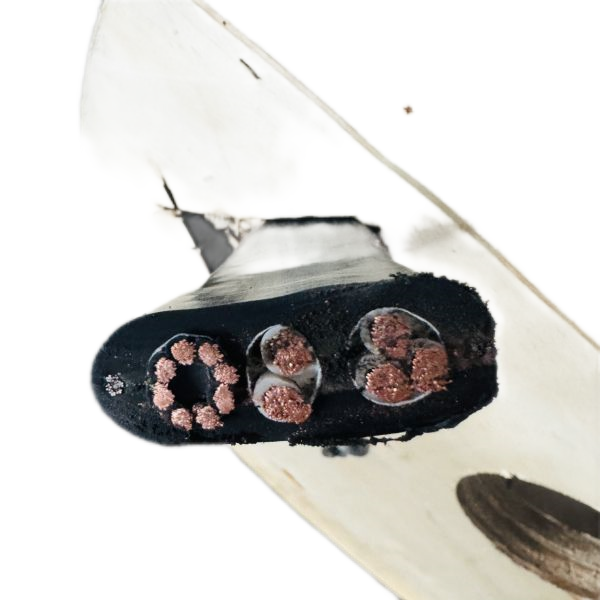 J9����|����վ����