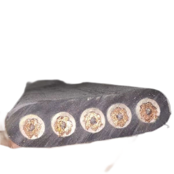 J9����|����վ����