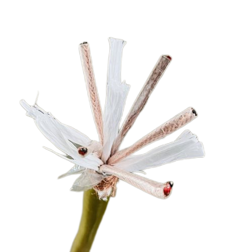 J9����|����վ����