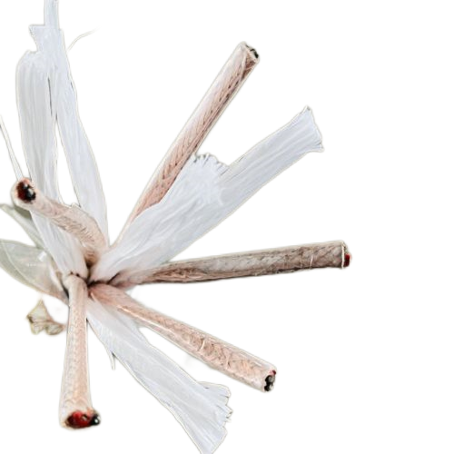 J9����|����վ����