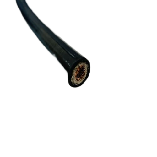 J9����|����վ����