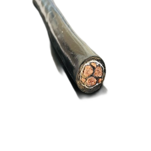 J9����|����վ����