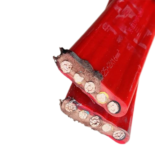 J9����|����վ����