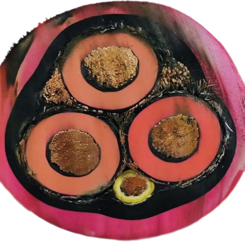 J9����|����վ����