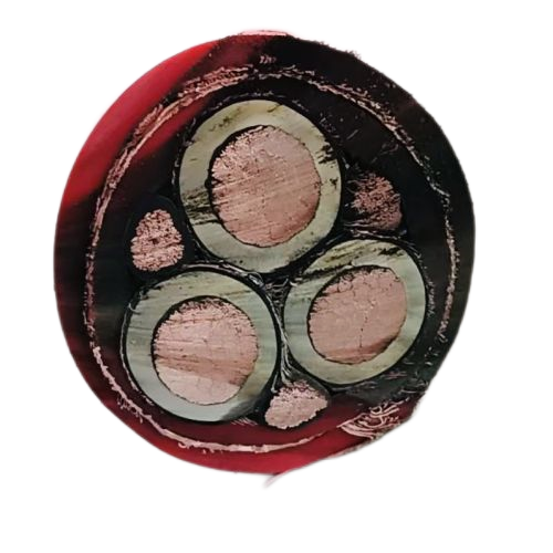 J9����|����վ����