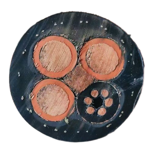 J9����|����վ����