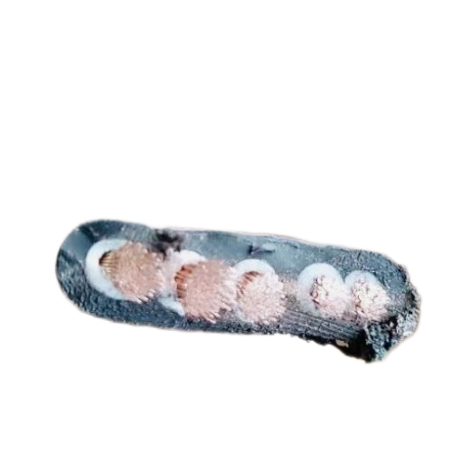 J9����|����վ����