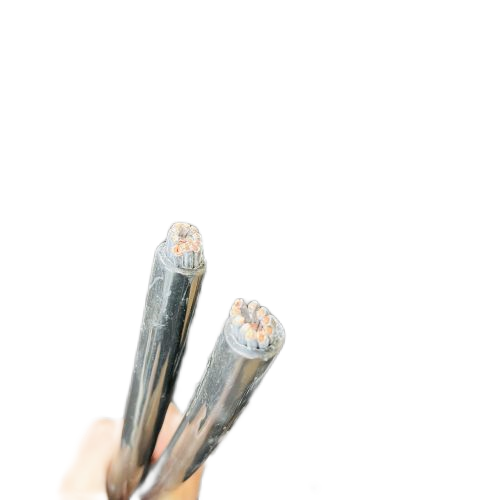 J9����|����վ����