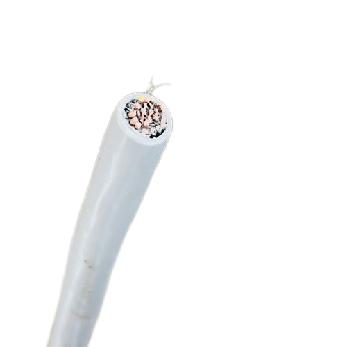 J9����|����վ����