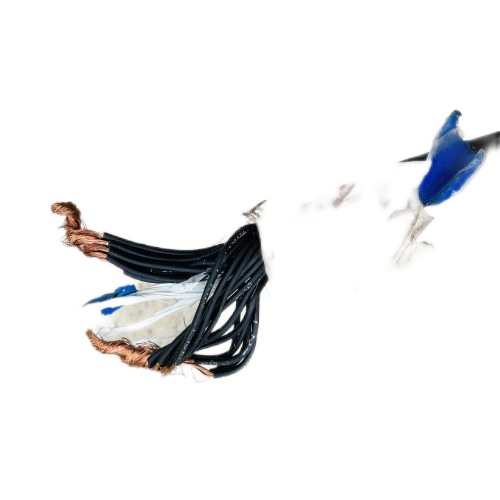 J9����|����վ����