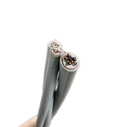 J9����|����վ����