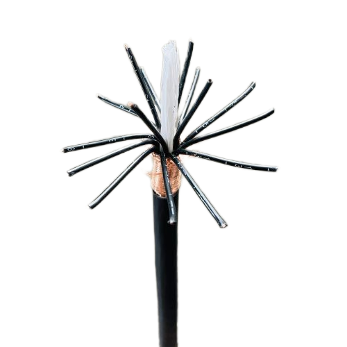 J9����|����վ����