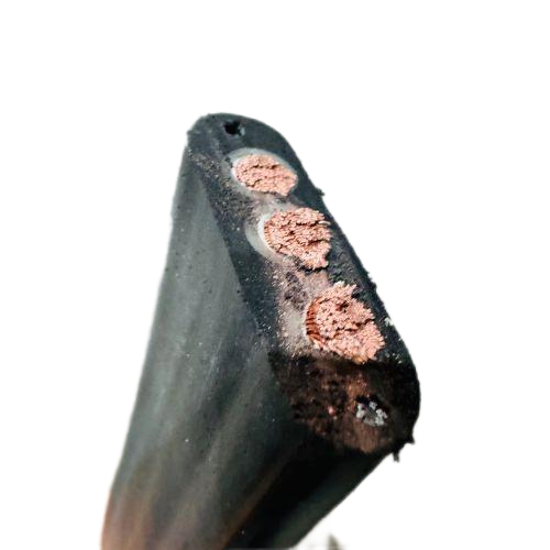 J9����|����վ����