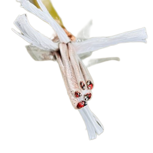 J9����|����վ����