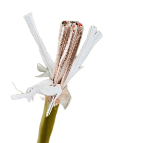 J9����|����վ����