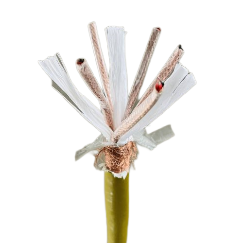 J9����|����վ����