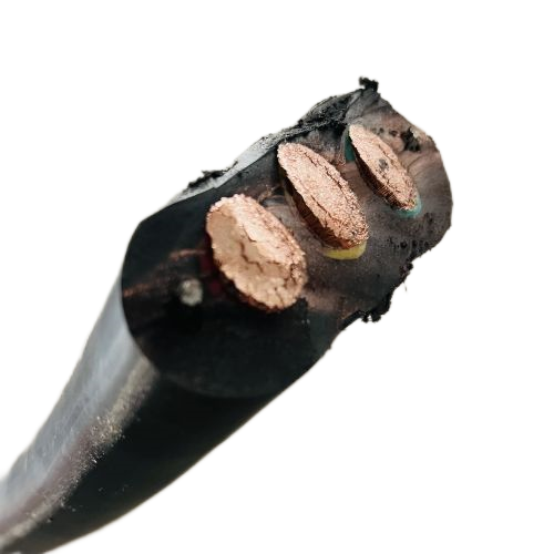 J9����|����վ����