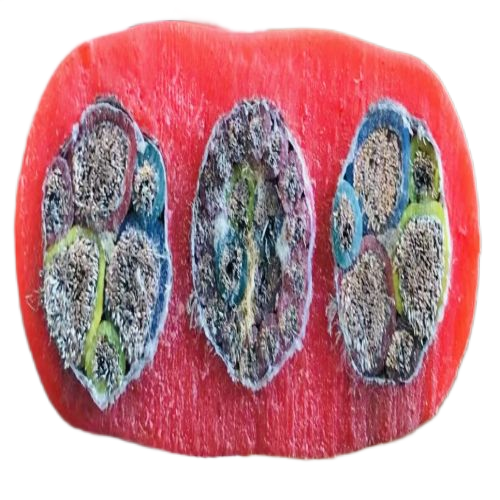 J9����|����վ����