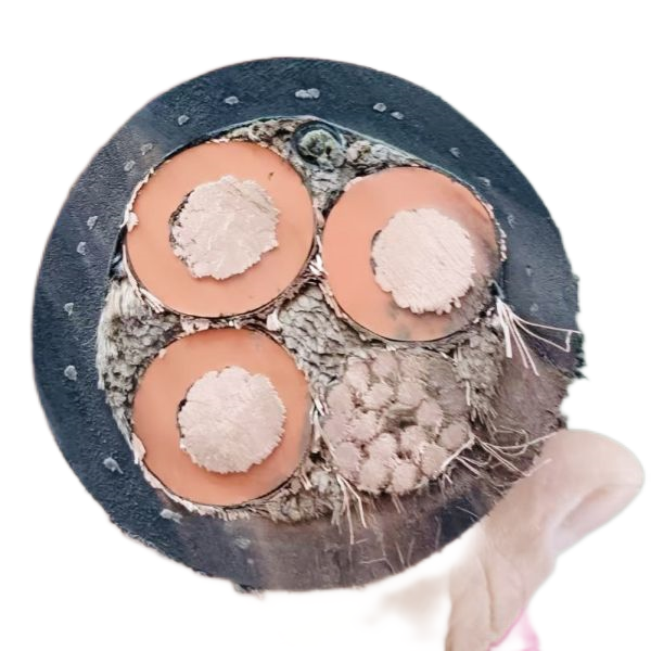 J9����|����վ����