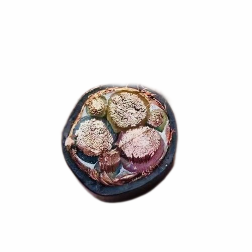 J9����|����վ����