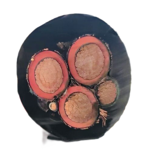 J9����|����վ����