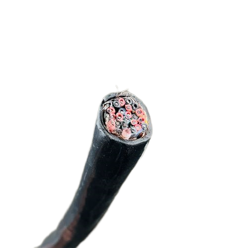 J9����|����վ����