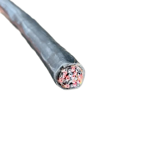 J9����|����վ����