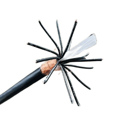 J9����|����վ����