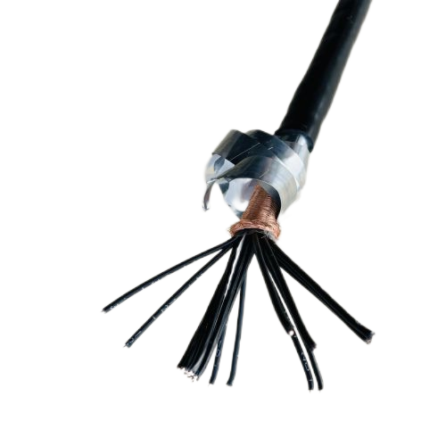 J9����|����վ����