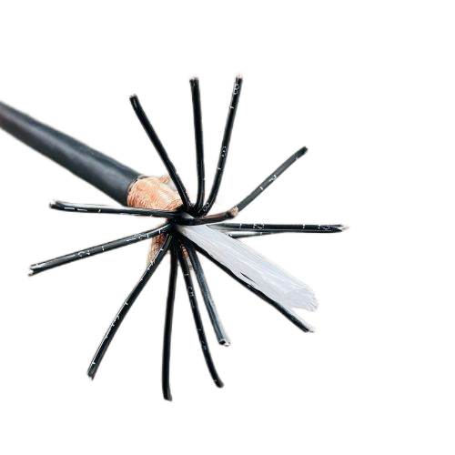 J9����|����վ����