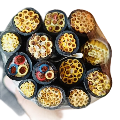 J9����|����վ����