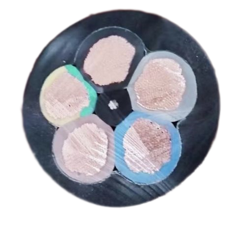 J9����|����վ����