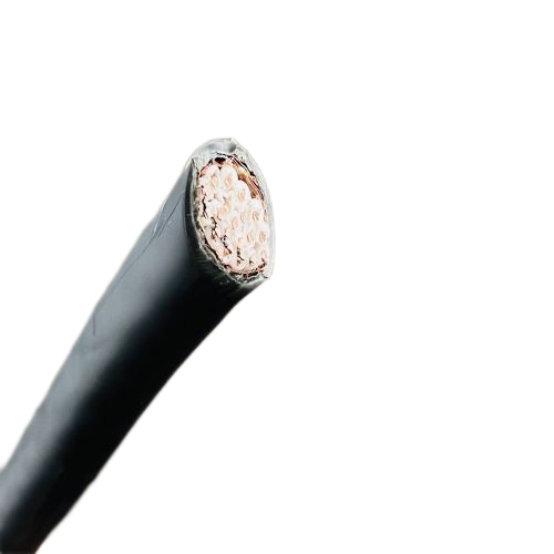 J9����|����վ����