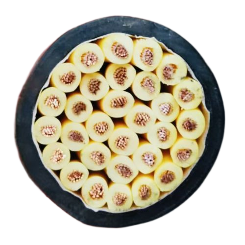 J9����|����վ����