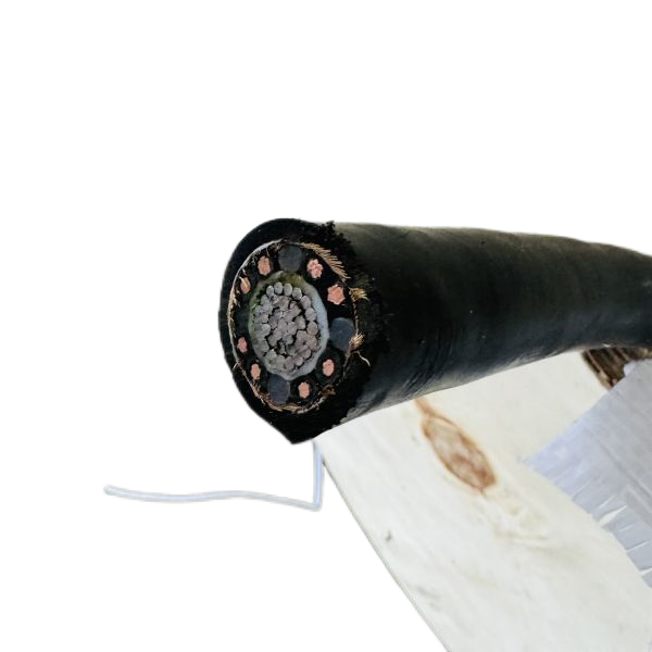 J9����|����վ����