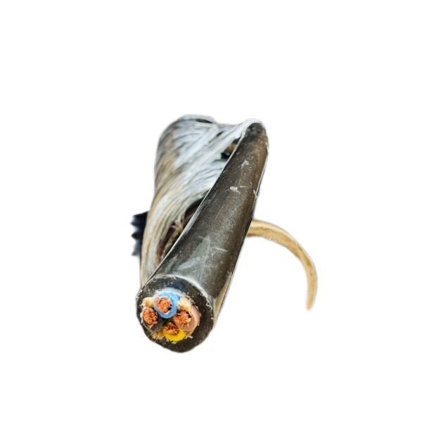 J9����|����վ����