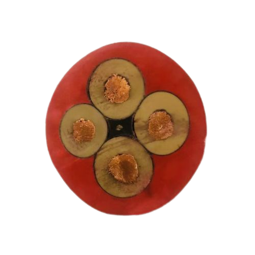 J9����|����վ����