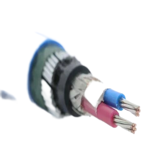 J9����|����վ����