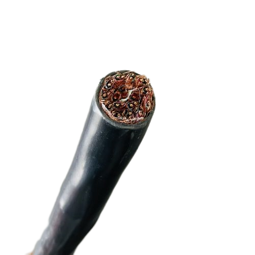 J9����|����վ����