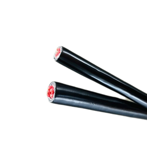 J9����|����վ����