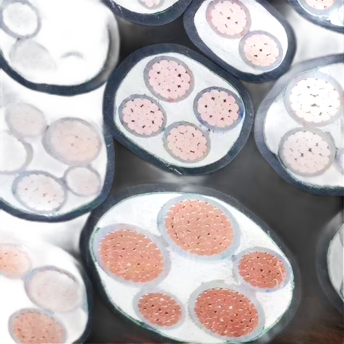 J9����|����վ����