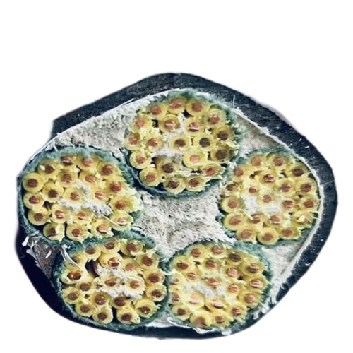 J9����|����վ����