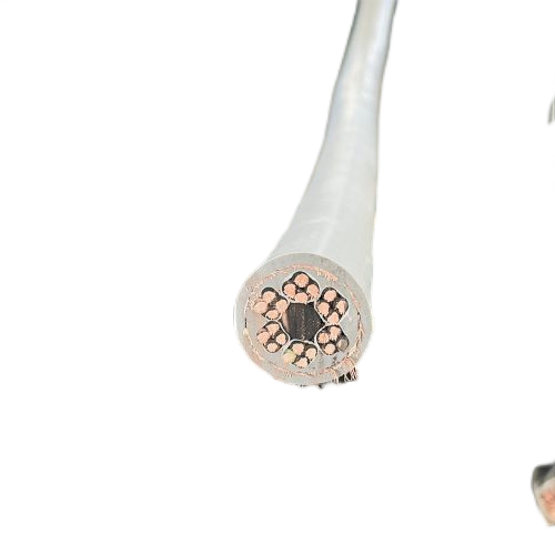 J9����|����վ����