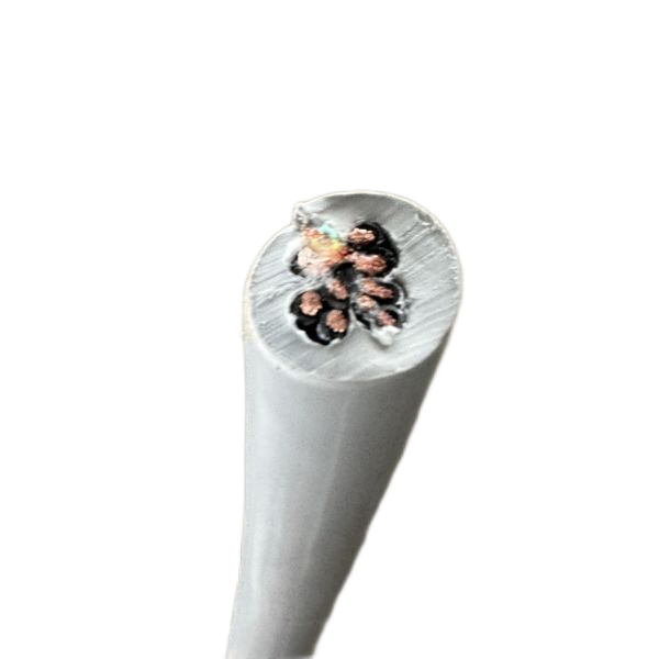 J9����|����վ����