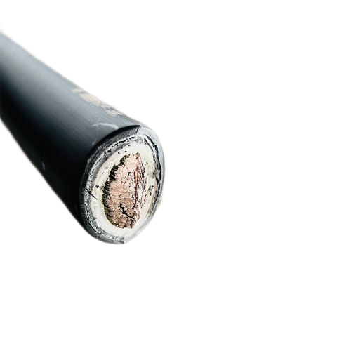 J9����|����վ����