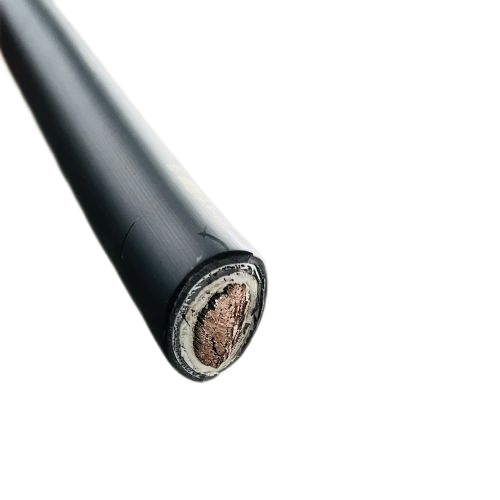 J9����|����վ����