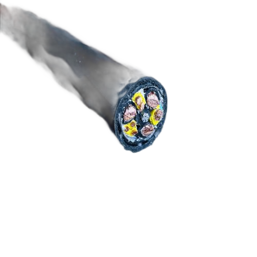 J9����|����վ����