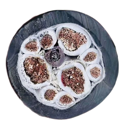 J9����|����վ����