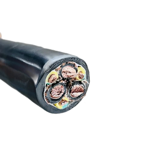 J9����|����վ����